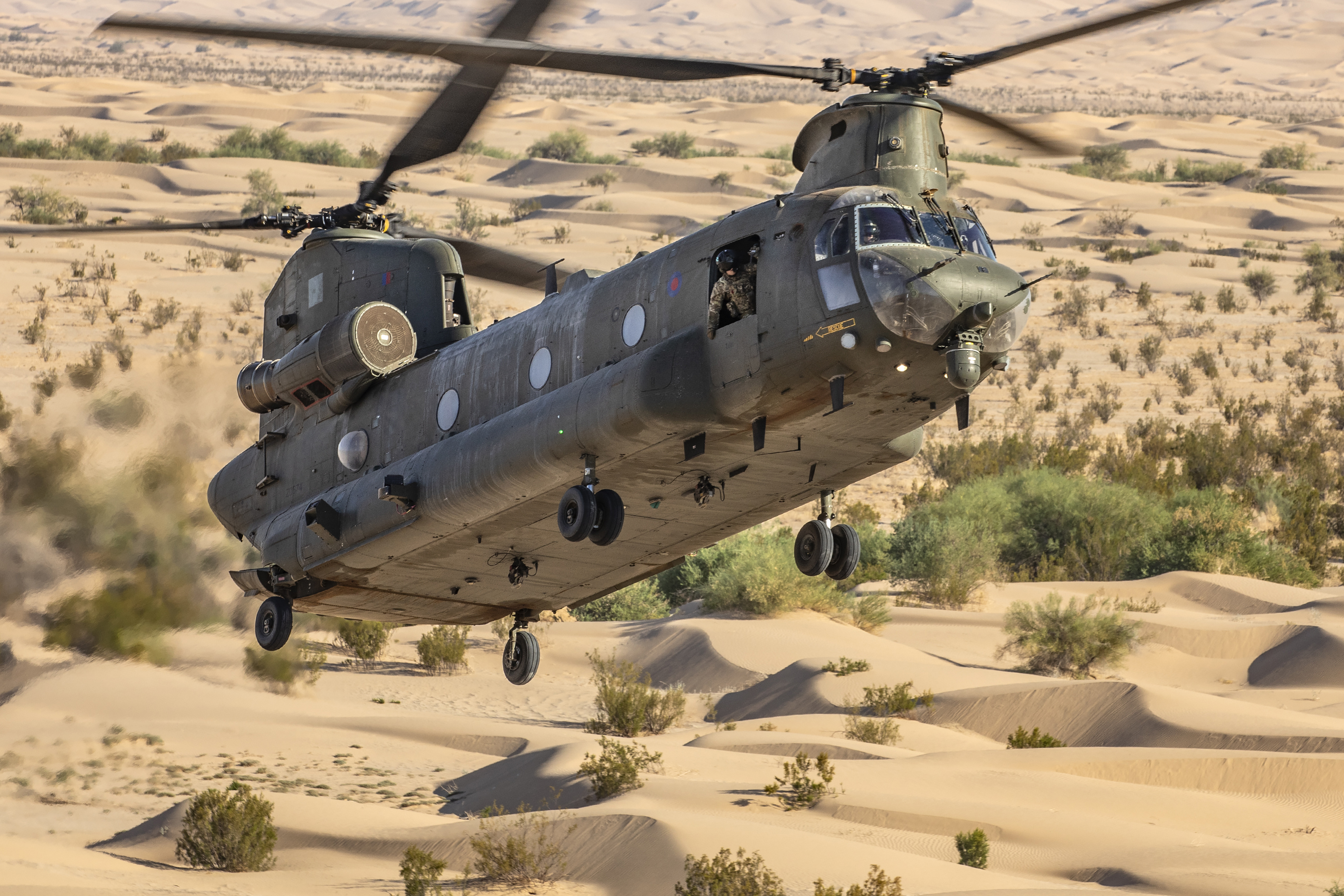 A Chinook hovering over the desert as it comes in to land.